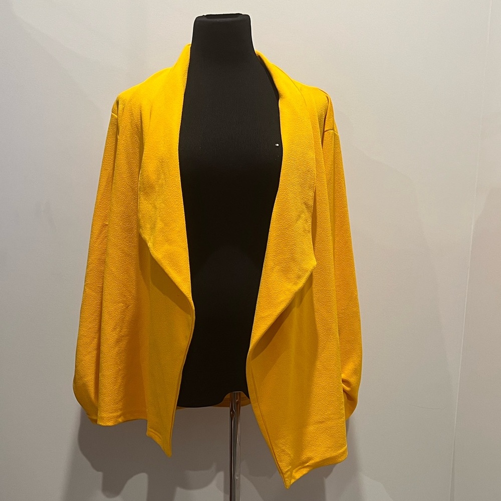 Drape Front Blazer | Size 3X